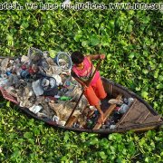 2021 Water hyacinths and garbage